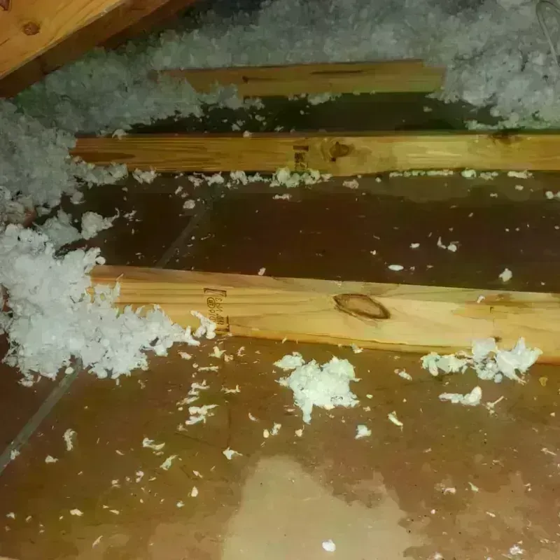 Attic Water Damage in Clinton, LA