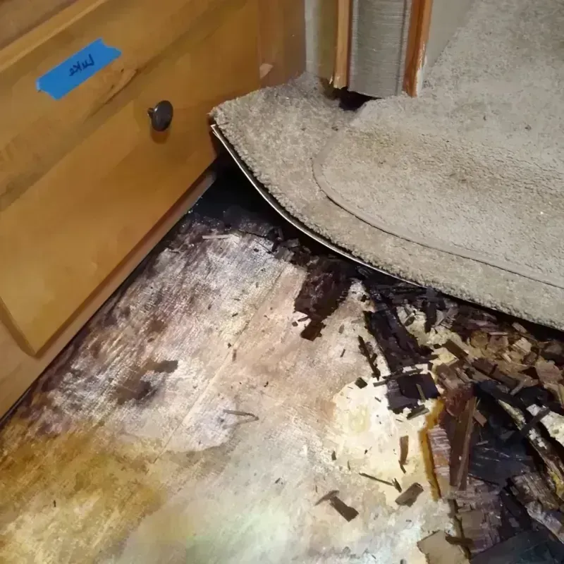 Wood Floor Water Damage in Clinton, LA